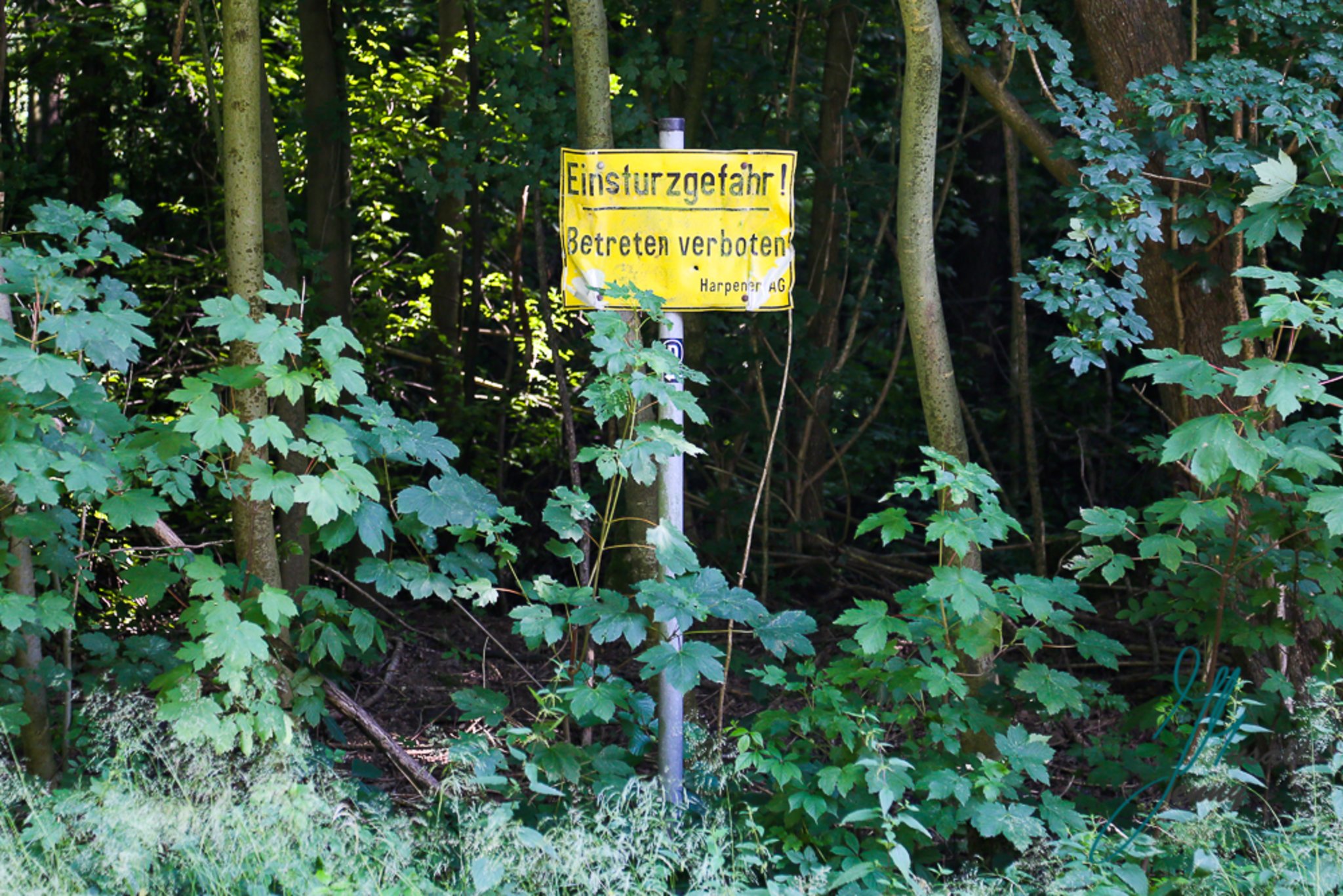 www.lokalkompass.de