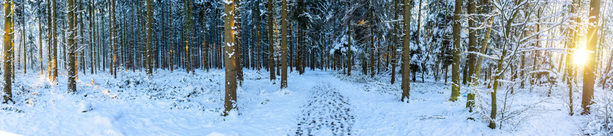 DSC_5146-Pano-Bearbeitet.jpg