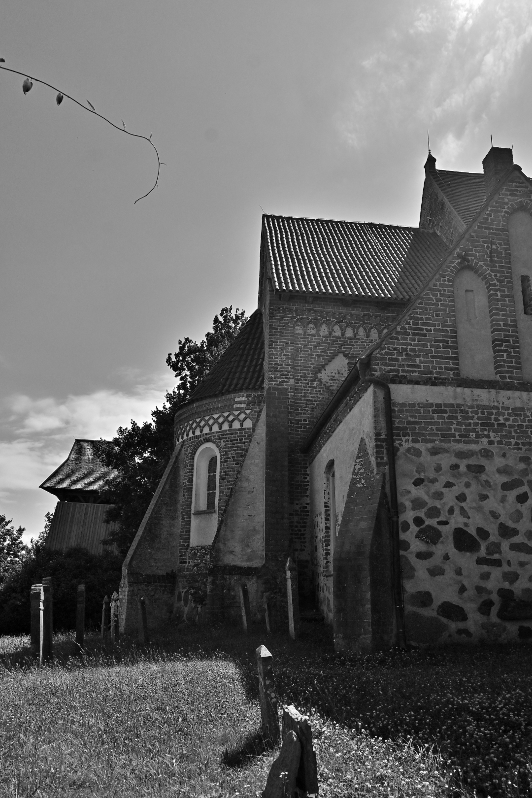 20250713-144106bw-2k.jpg