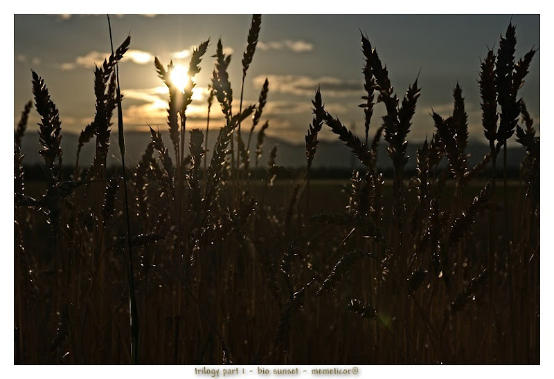 s_DSC_0004_lzn.jpg