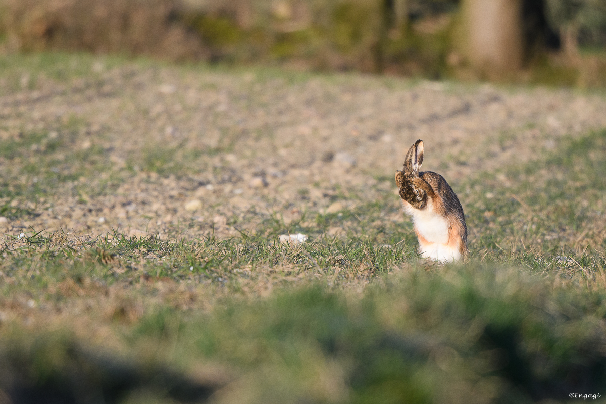 DSC_0740.jpg