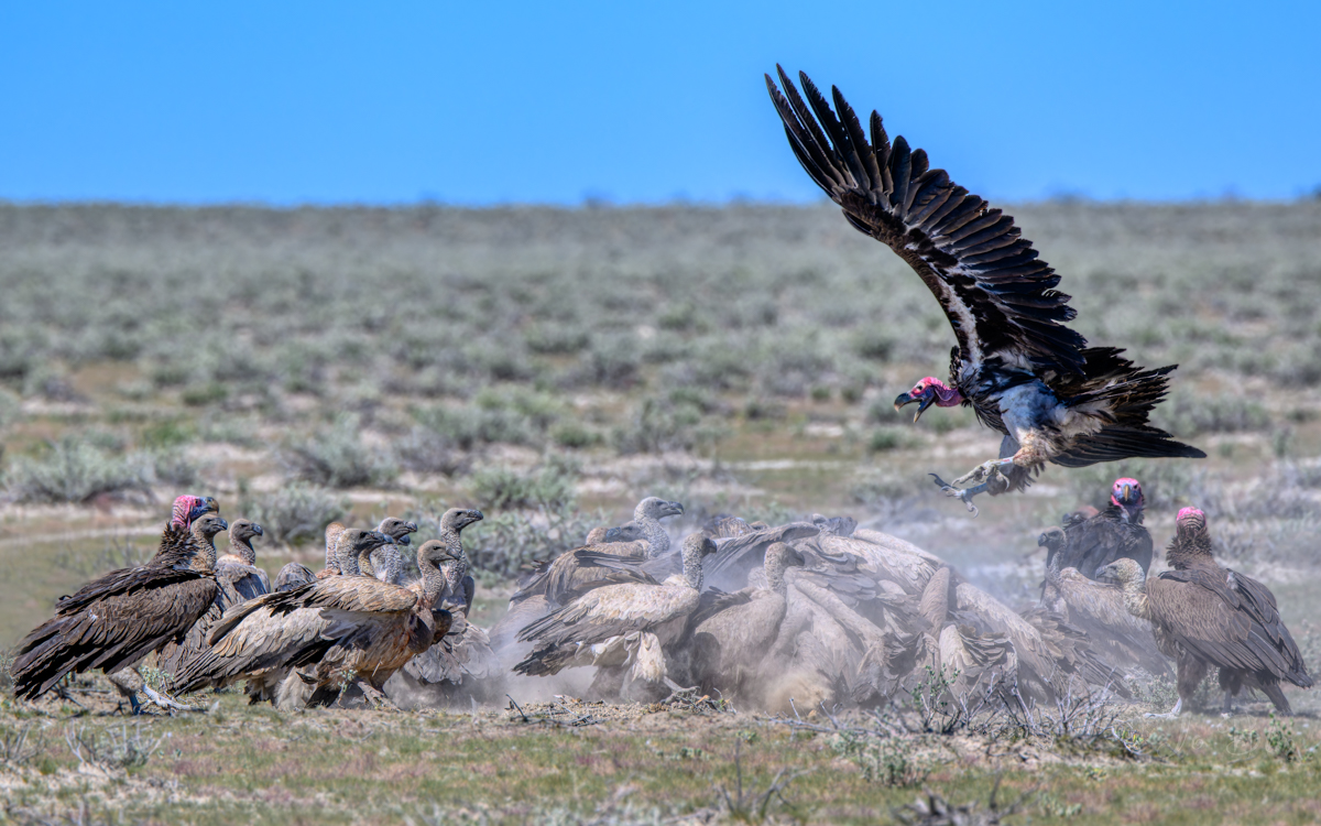 full