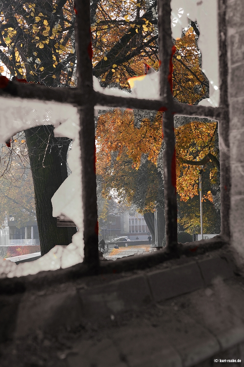 ckurt-raabe.deDSC_4917_Fenster2.jpg