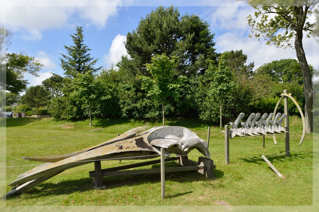 WoWarIch_4918.jpg