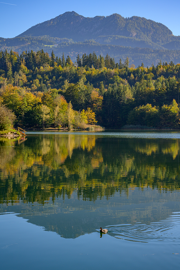 20211018_NZ7_1512NF.jpg