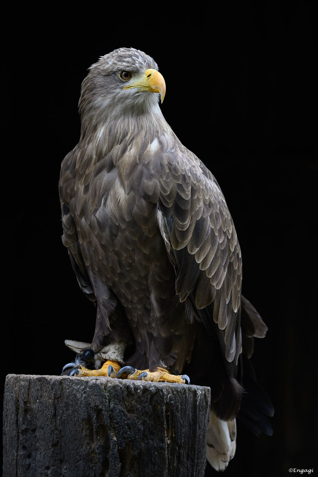 DSC_1110.jpg