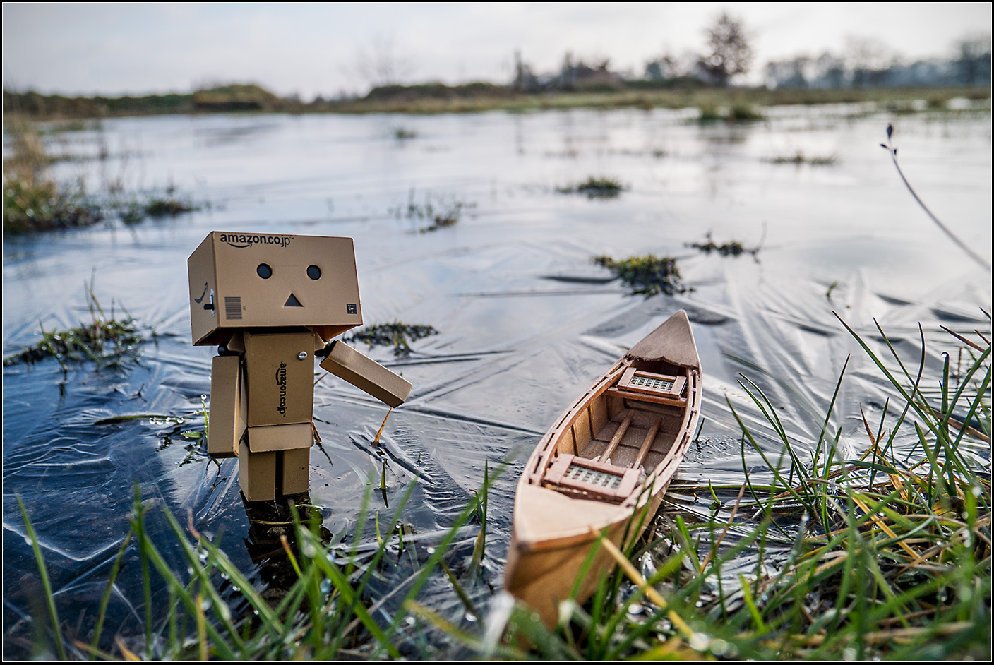 danbo01.jpg