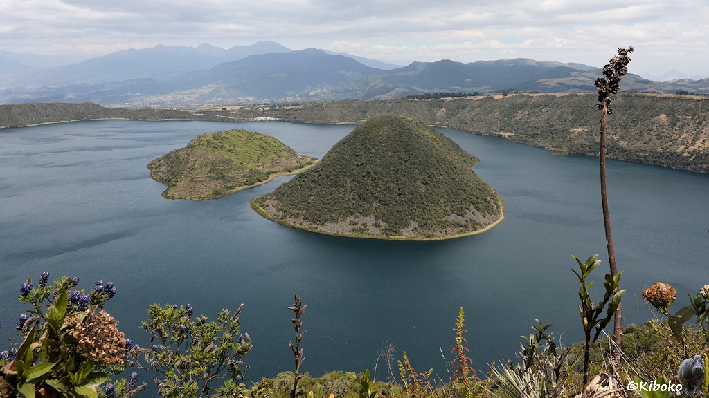 Das Bild zeigt einen Kratersee mit zwei Inseln. Im Hintergrund ist ein Gebirgszug. Im Vordergrund ragen einzelne Blütenstängel ins Bild.