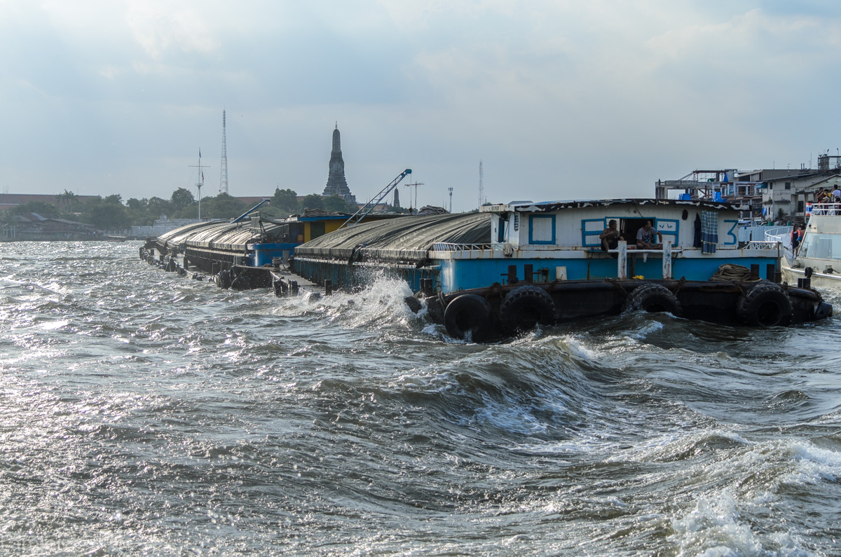 DSC_8389.jpg