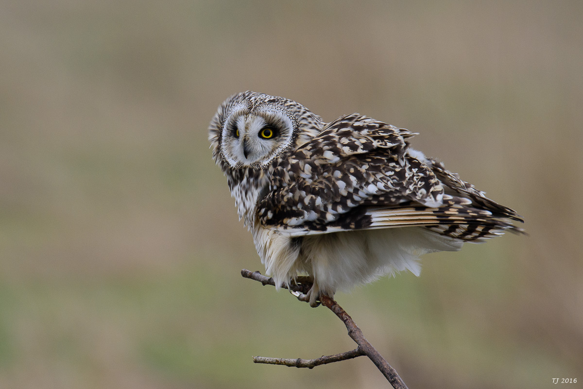 DSC_2053.jpg