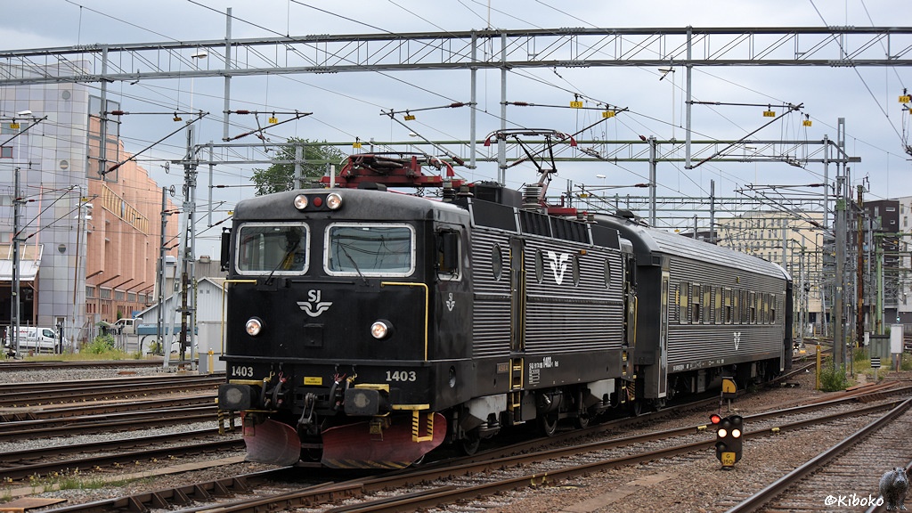 Das Bild zeigt eine weitere schwarze Elektrolokomotive die einen Zug aus schwarzen Schnellzugwagen durch das Gleisvorfeld eines Bahnhofs zieht.
