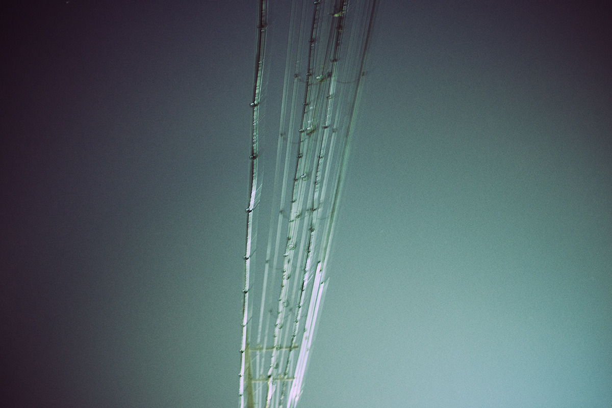 tumblr_nm445oZhQr1urhaxjo1_1280.jpg
