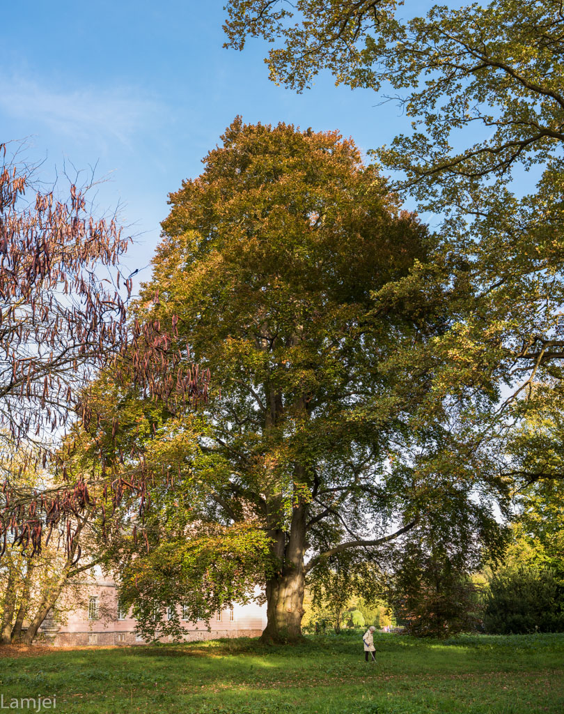 DSC_1651.jpg