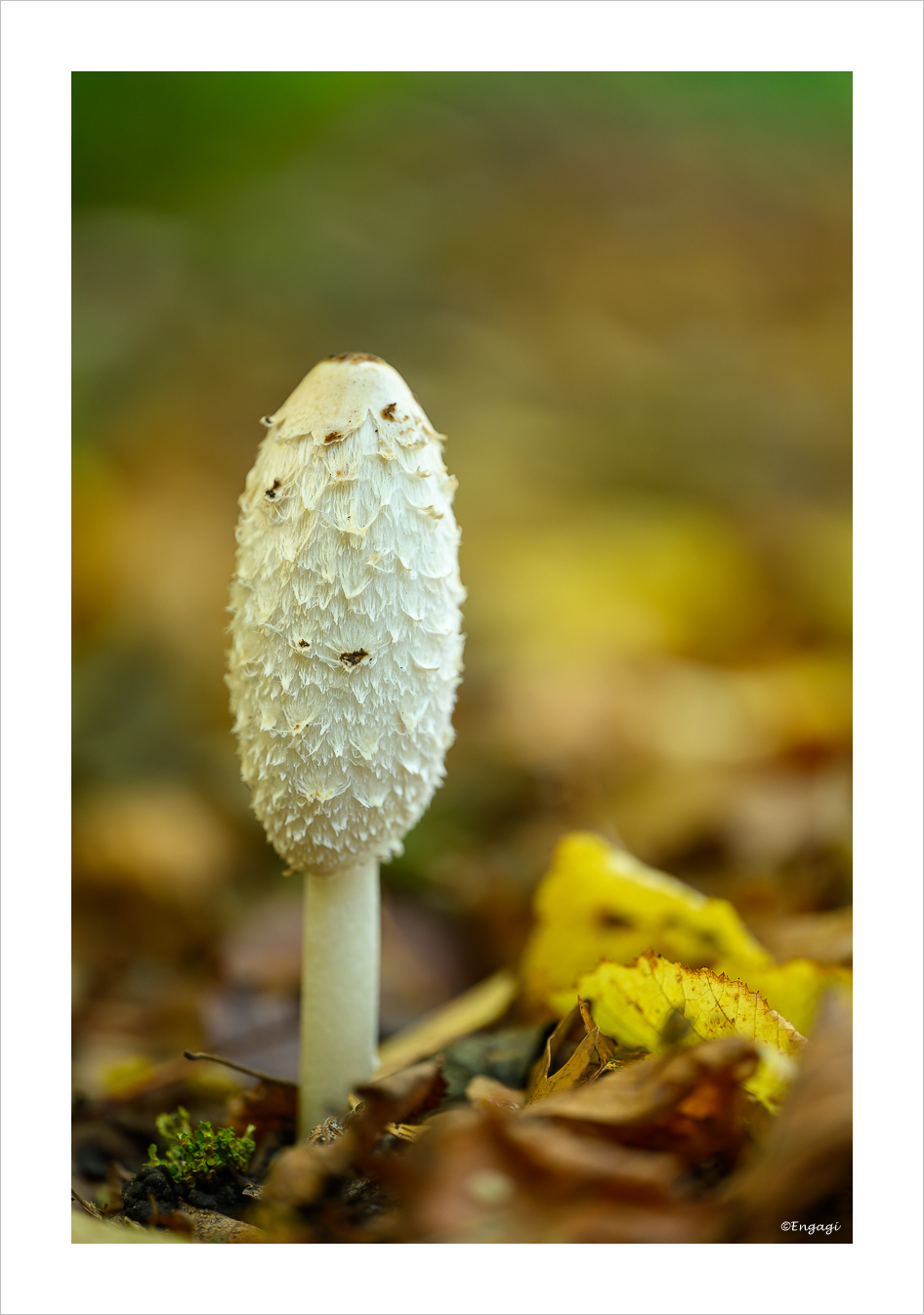 DSC_9188.jpg