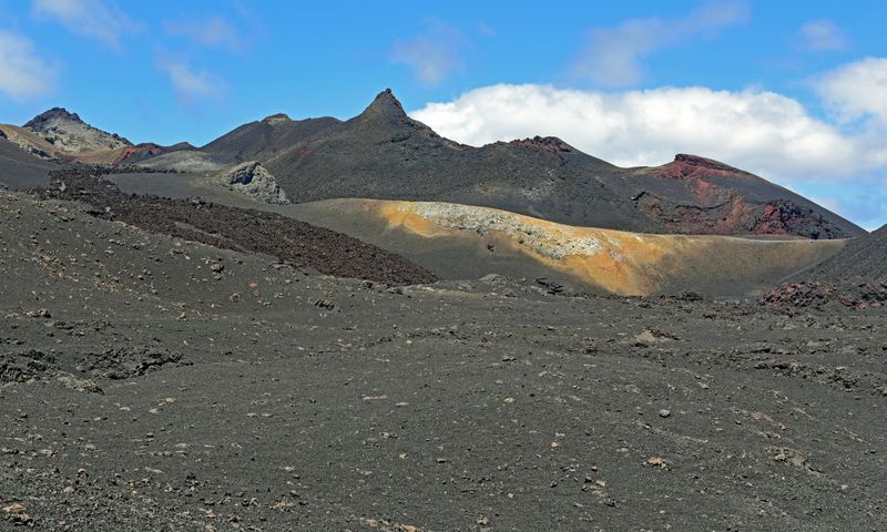 d75_9618.jpg