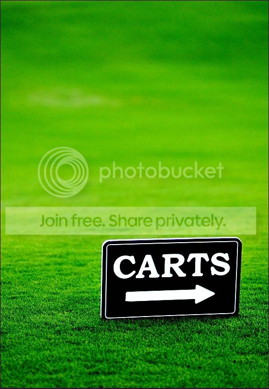 comp_ontheGreen1.jpg