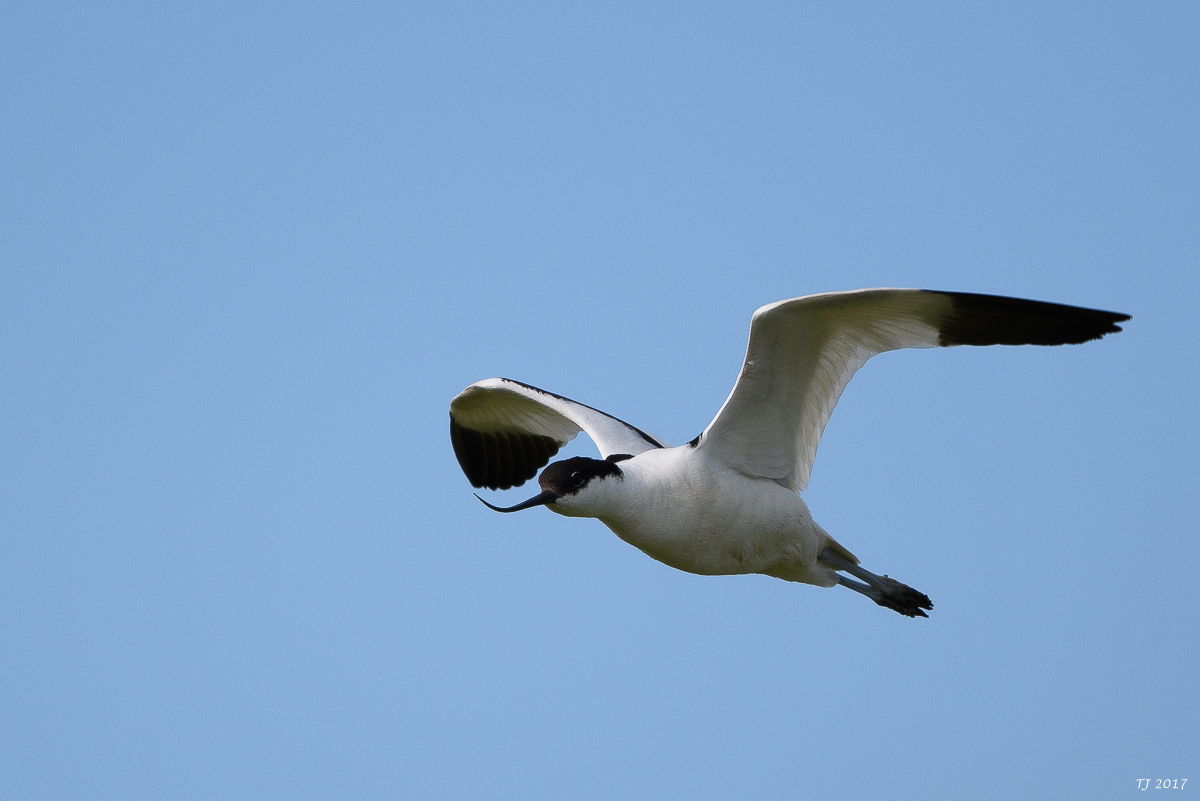 DSC_1727.jpg
