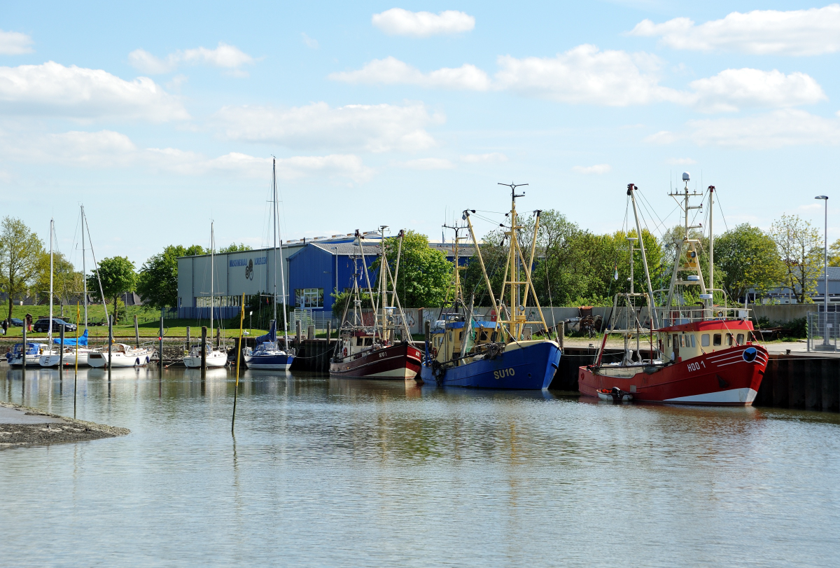 DSE_6479.JPG