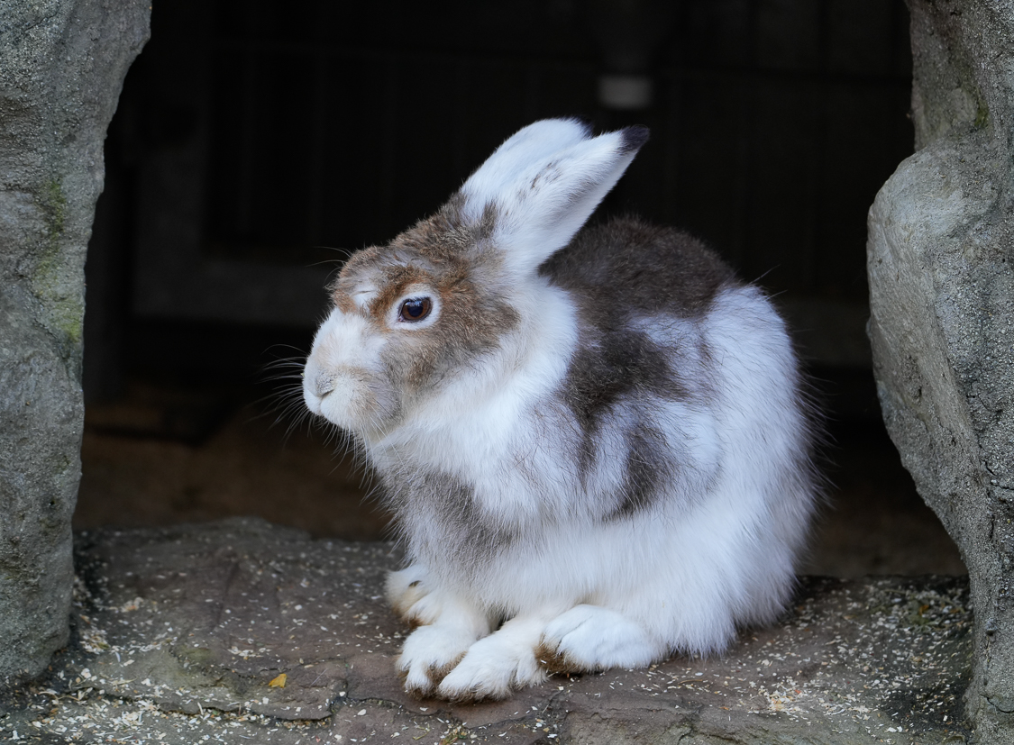 full
