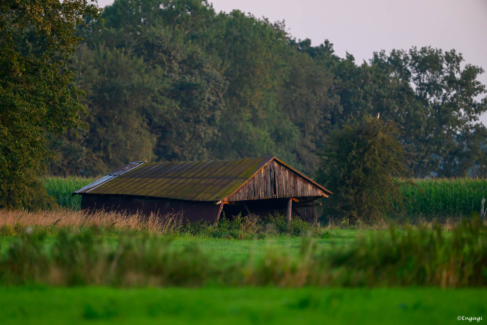 DSC_0743.jpg