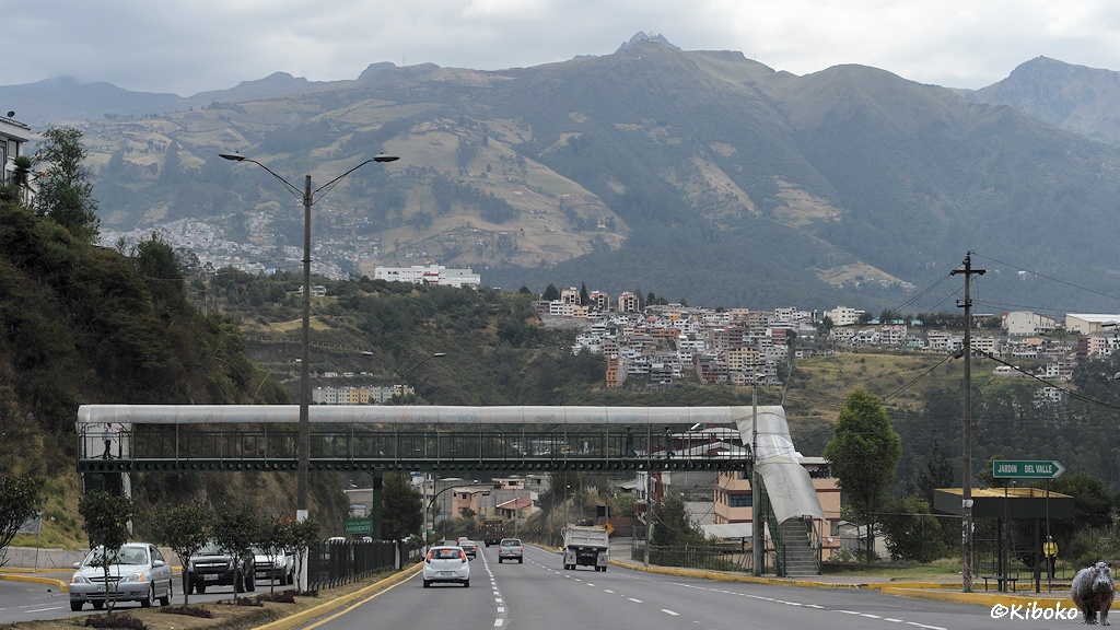 Das Bild zeigt eine überdachte Fußgängerbrücke, die über eine Straße mit drei Fahrspuren pro Richtung plus Standspur führt. Im Hintergrund ist ein hoher Berg. Häuser stehen am Berghang.