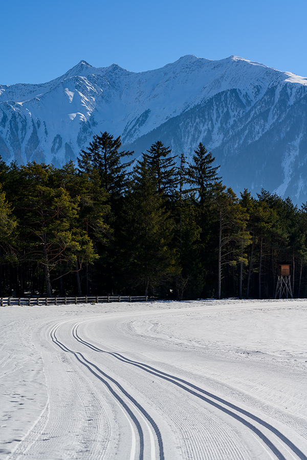 20210214_NZ7_0955NF.jpg