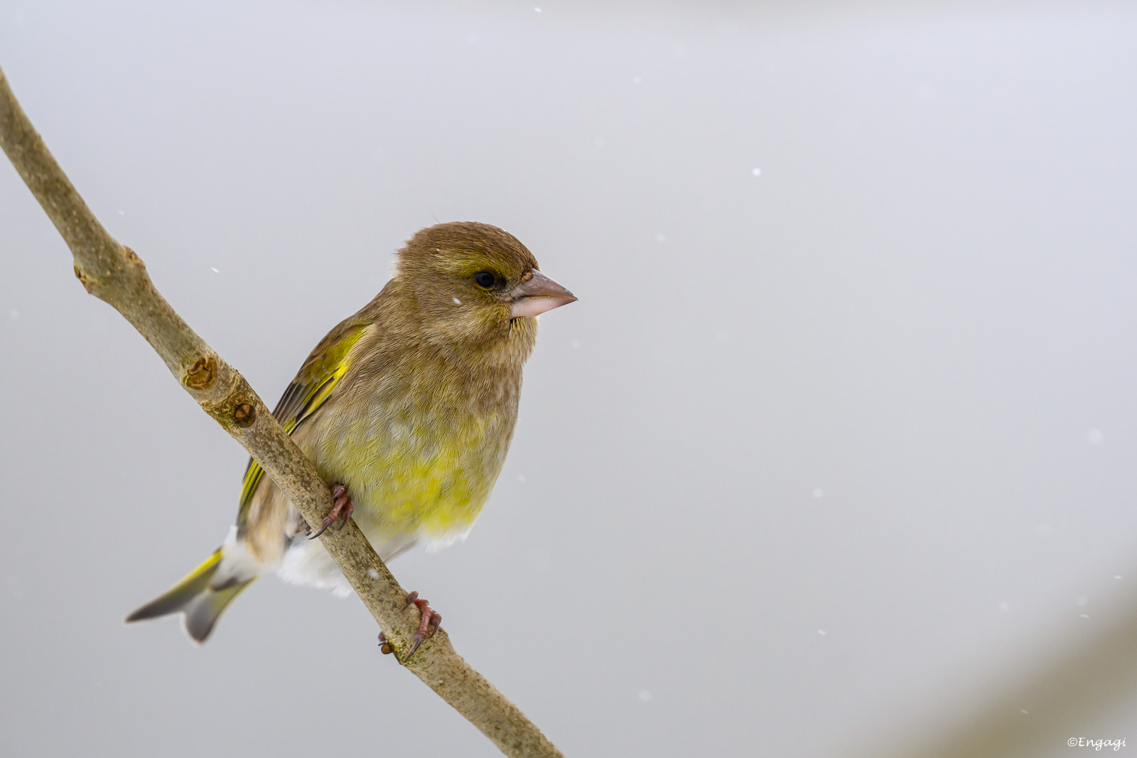DSC_3722.jpg