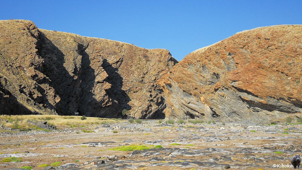 Trockenes Flusstal verschwindet zwischen rotbraunen Felsen.