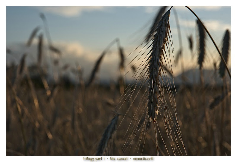 s_DSC_0031_lzn.jpg