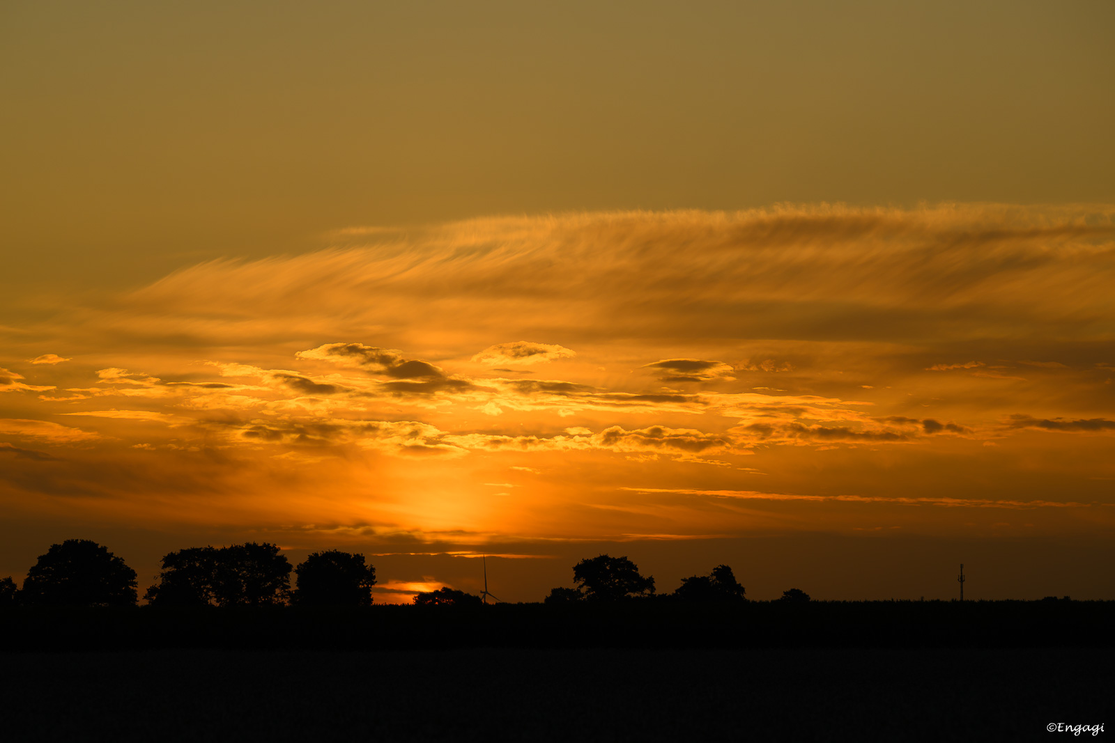 DSC_3112.jpg