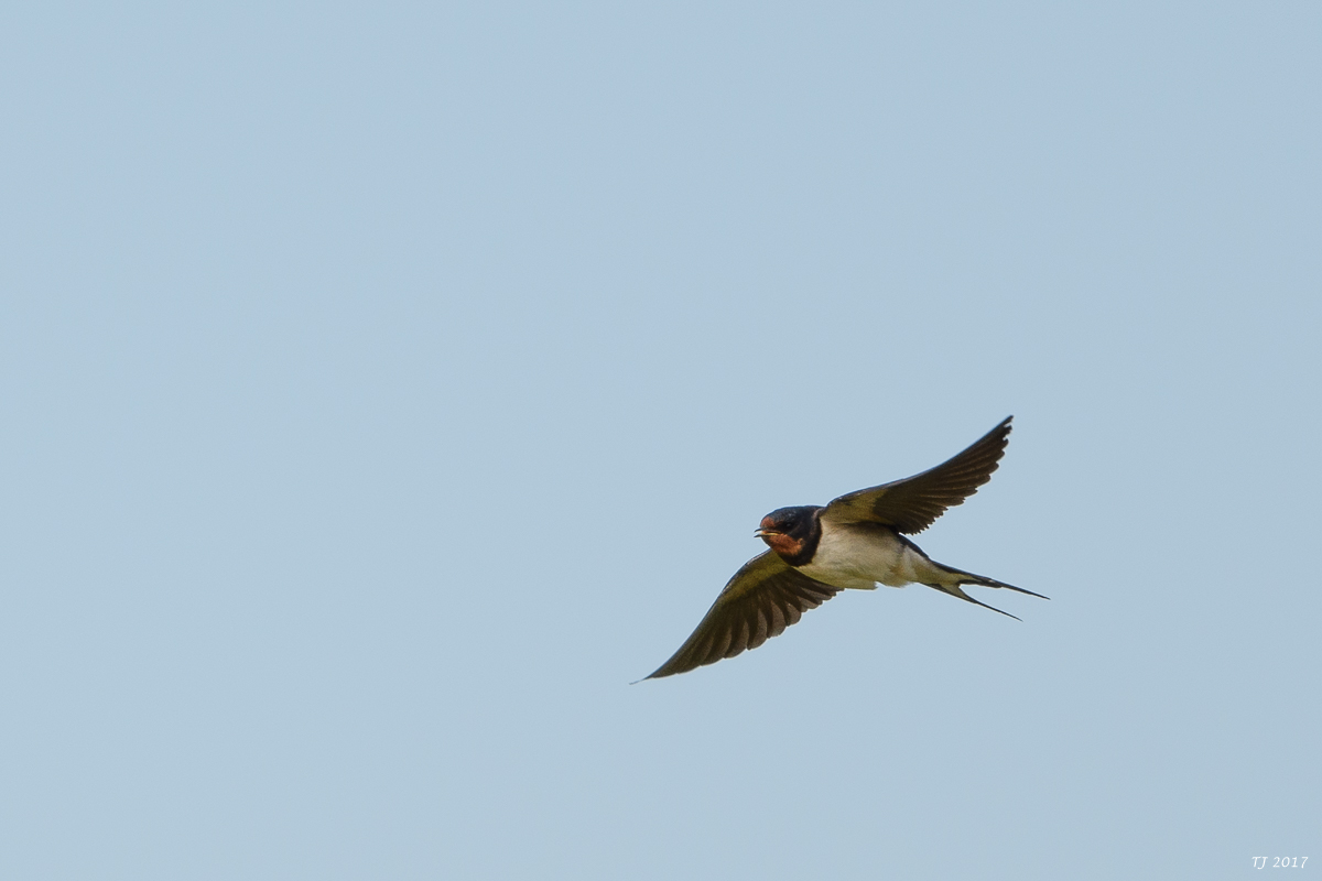 DSC_1767.jpg