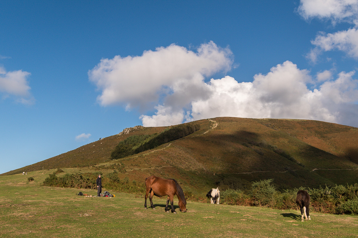 GR10_2016_10_0338.jpg