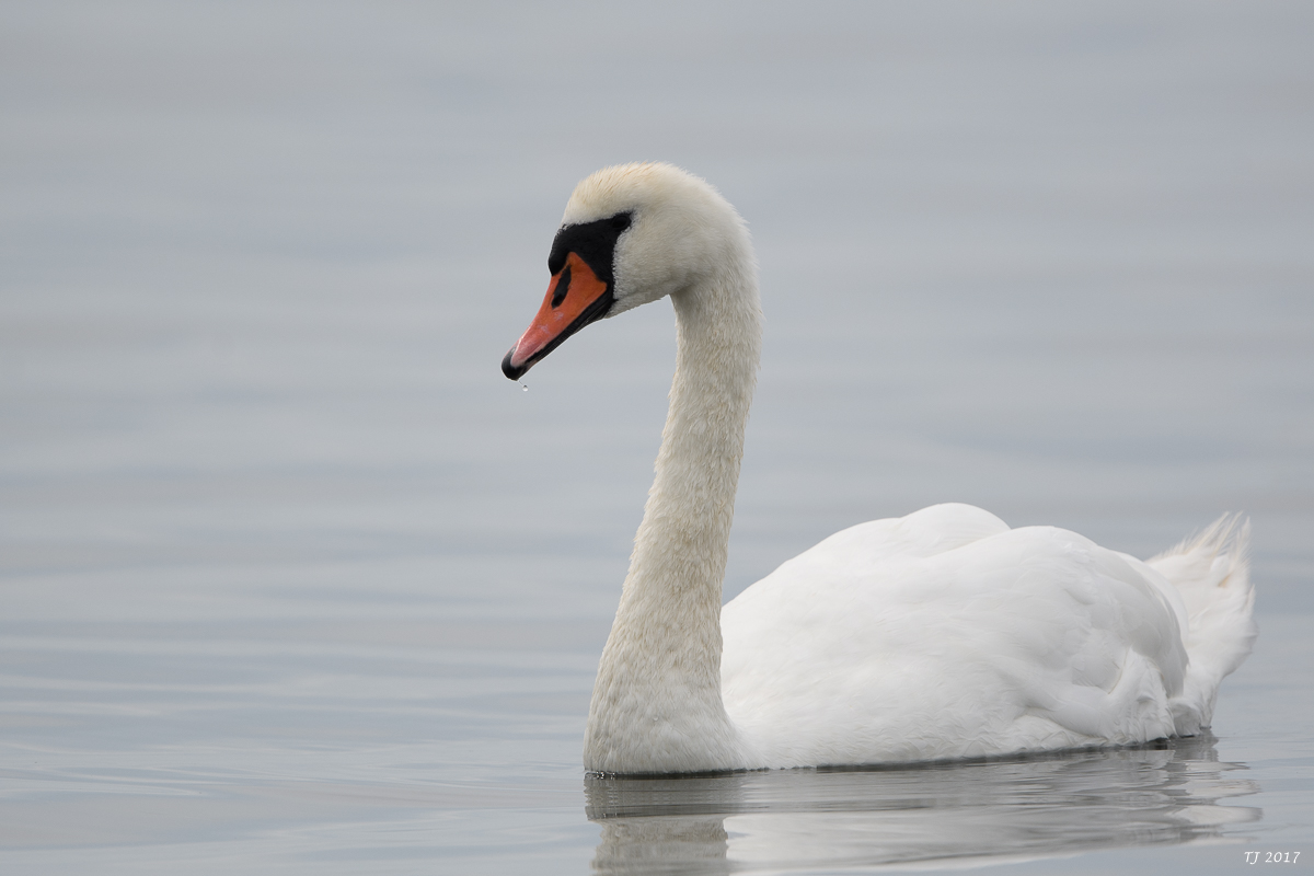 DSC_2357.jpg