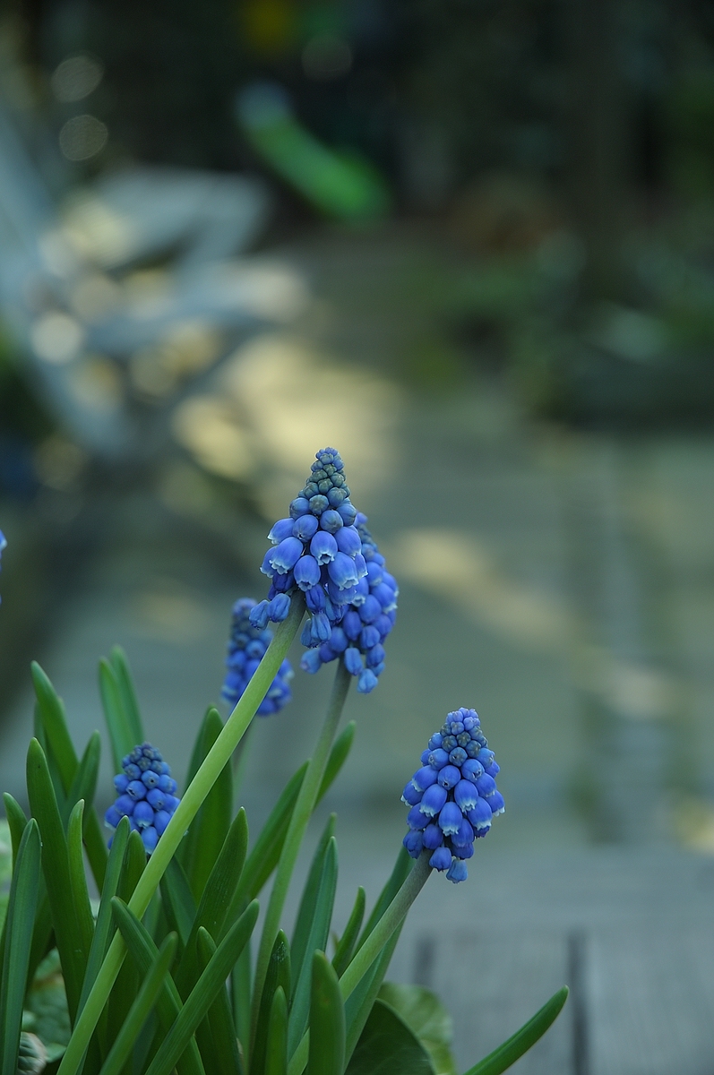 CK.R._DSC_9140.jpg
