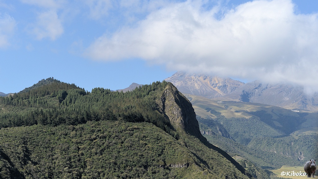 Das Bild zeigt eine Berglandschaft. Im Vordergrund ist auf der linken Bildhälfte ein mit Nadelbäumen bewachsener Berg. Eine schroffe Felswand fällt nach rechts steil ab. Im Hintergrund ist ein hohes Bergmassiv. Eine vorbeiziehende Wolke verdeckt den Berg.