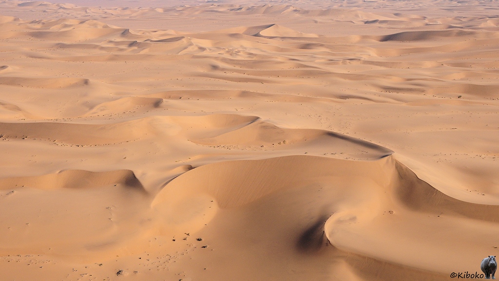 Schatten erzeugt einen runden dunklen Fleck in der Sandwüste.