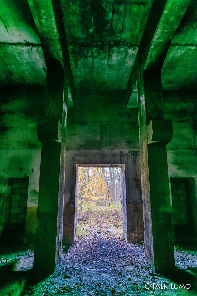 DSC_7529-X2.jpg
