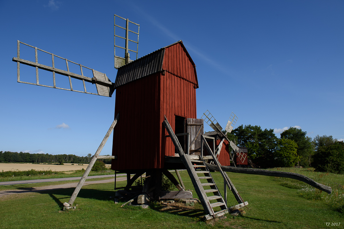 DSC_7835.jpg