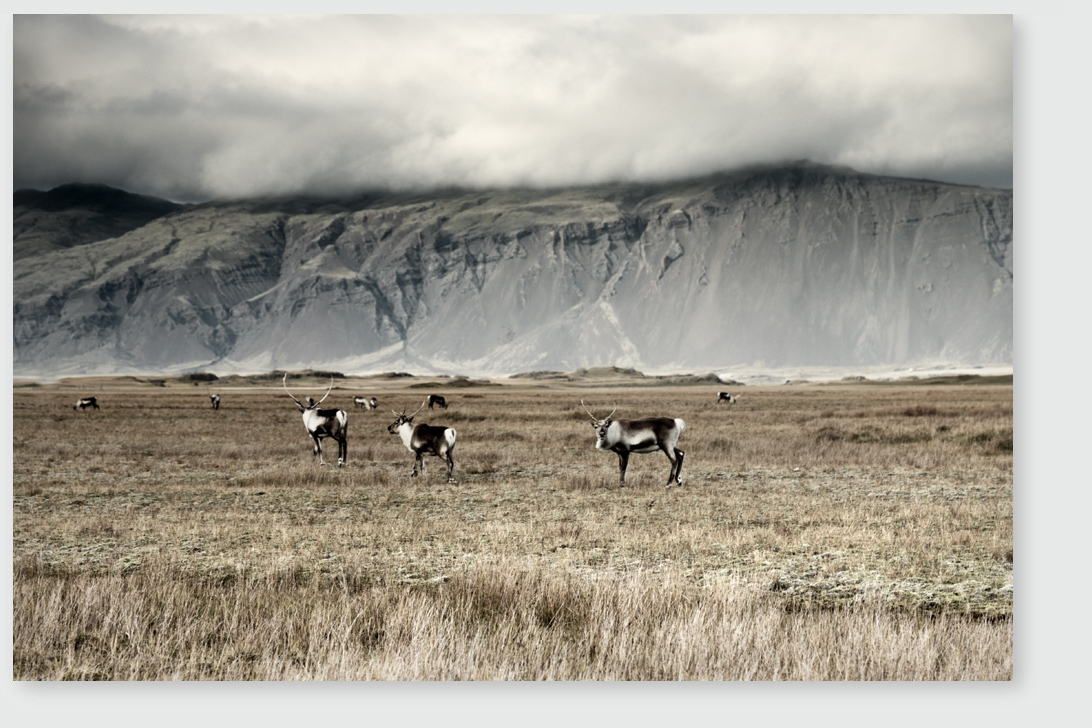 Iceland-September-2014-nff-43.jpg