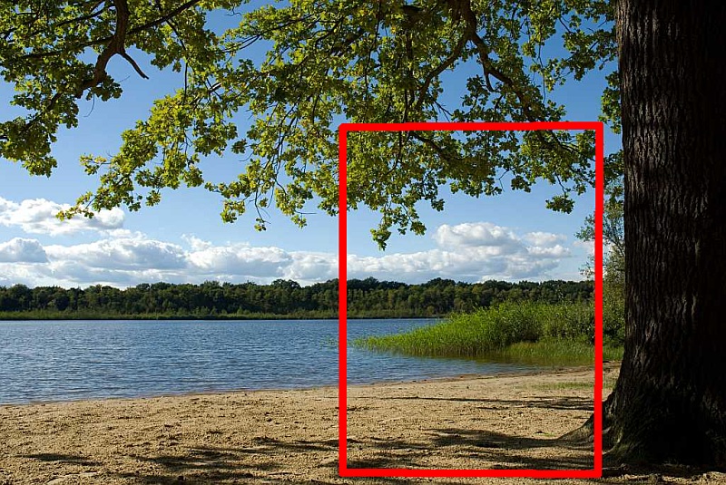 nff_986646def84ad3957_mark.jpg