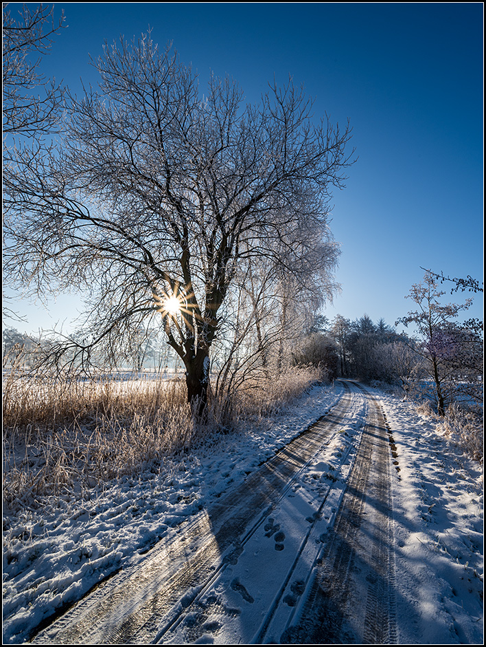 winter07.jpg