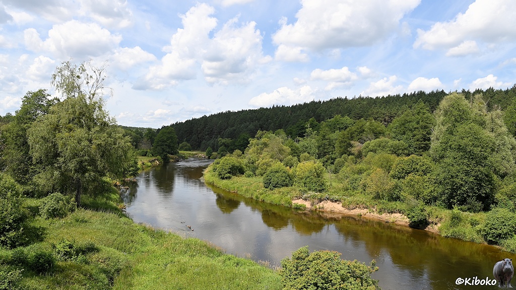Das Bild zeigt einen Fluss in einer S-Kurve. An den Ufern sind naturbelassene Wiesen, Büsche und einzelne Bäume. Im Hintergrund ist ein Berg mit Nadelbäumen.