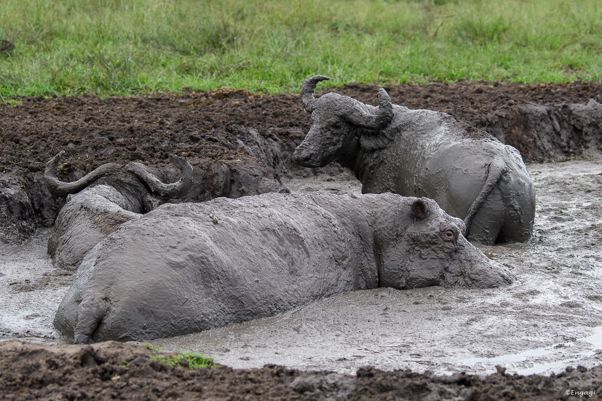 Uganda%201413.jpg