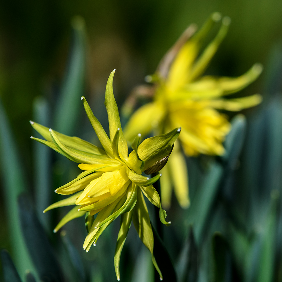 20180402_D500_0022qNF.jpg