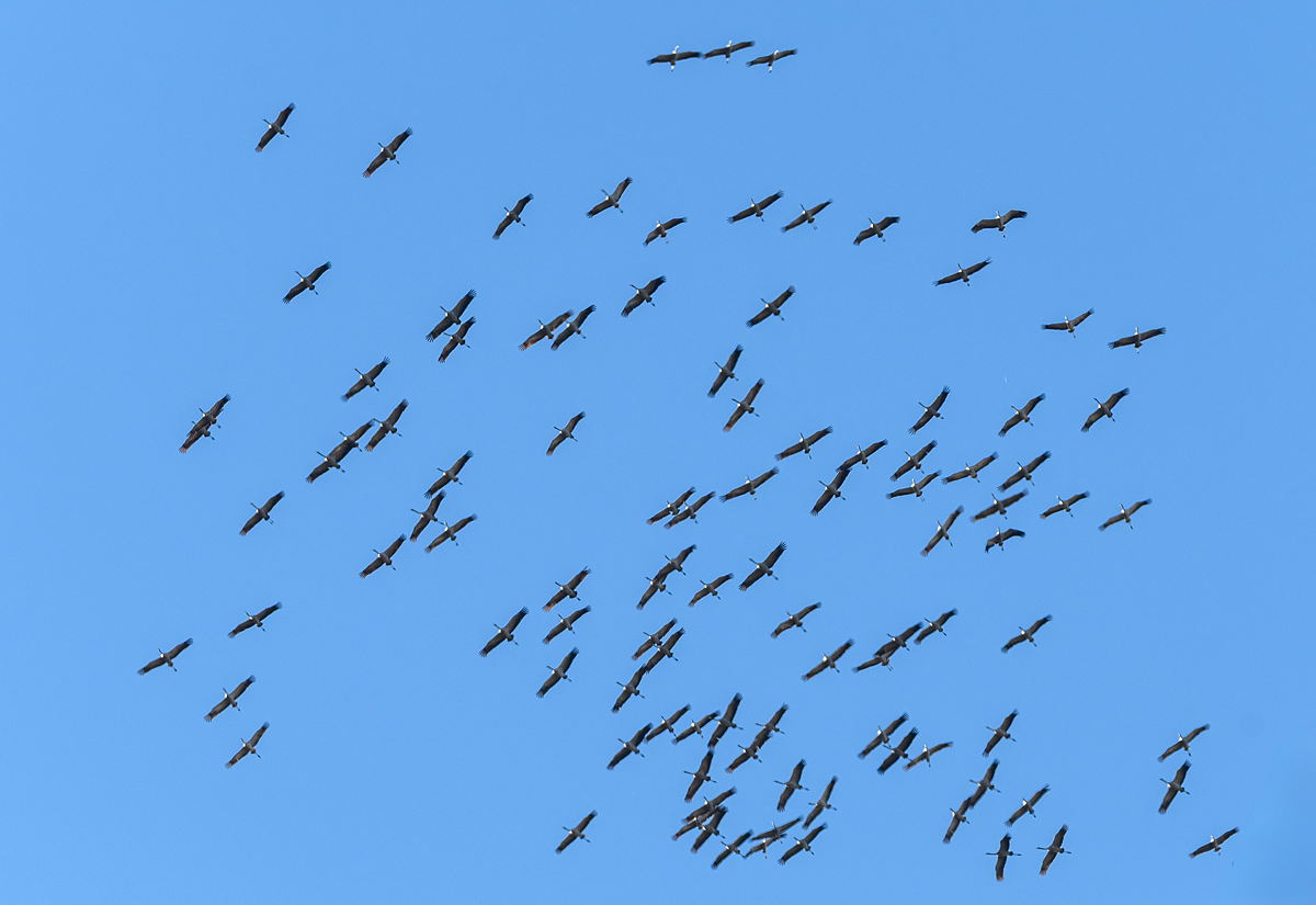 full