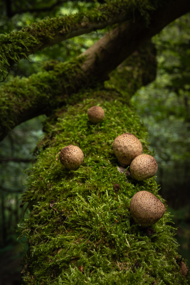 full
