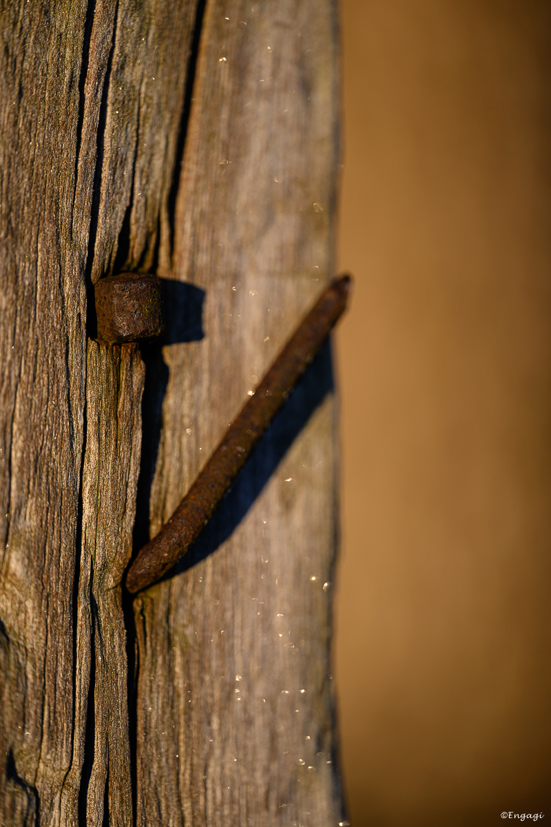 DSC_0061.jpg
