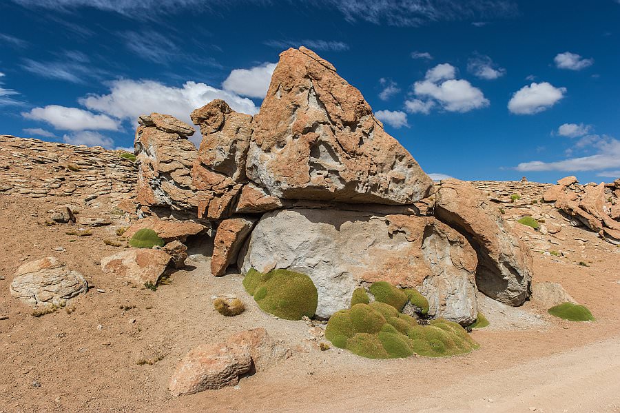 atacama16_042.jpg