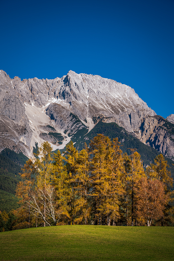 20201106_NZ7_1032NF.jpg