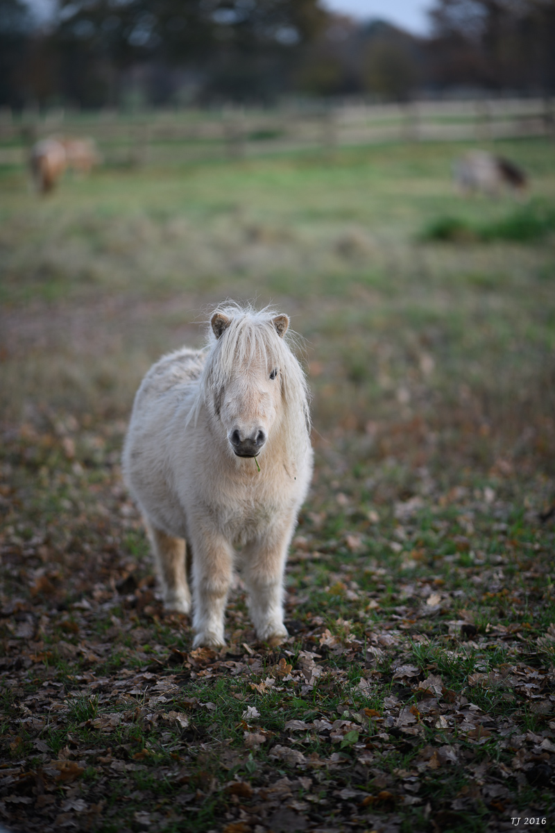 DSC_3483.jpg